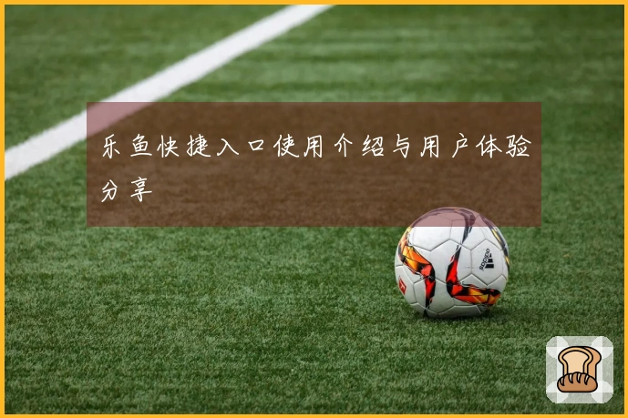乐鱼快捷入口使用介绍与用户体验分享
