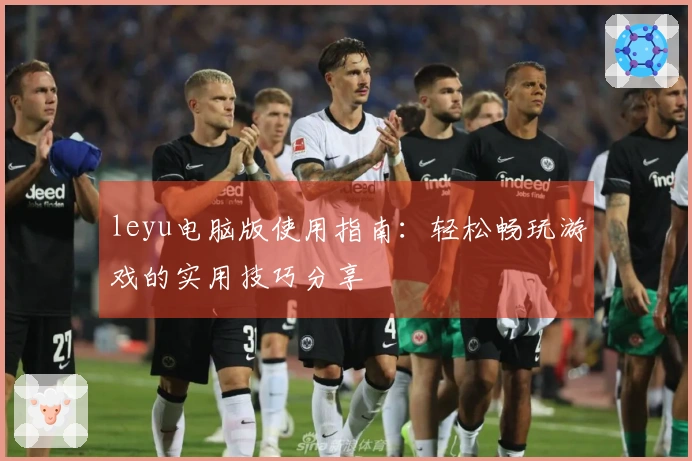 leyu电脑版使用指南：轻松畅玩游戏的实用技巧分享
