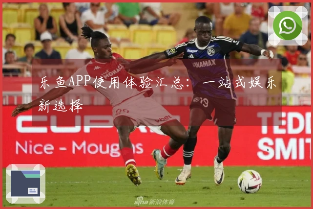 乐鱼APP使用体验汇总：一站式娱乐新选择