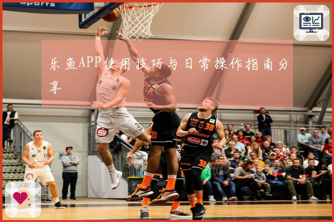 乐鱼APP使用技巧与日常操作指南分享