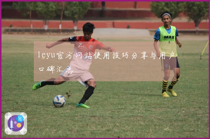 leyu官方网站使用技巧分享与用户口碑汇总