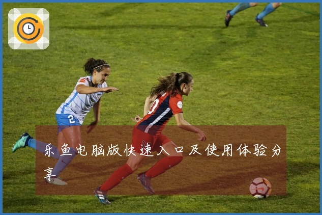 乐鱼电脑版快速入口及使用体验分享