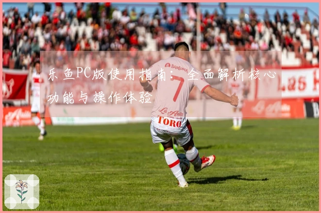 乐鱼PC版使用指南：全面解析核心功能与操作体验